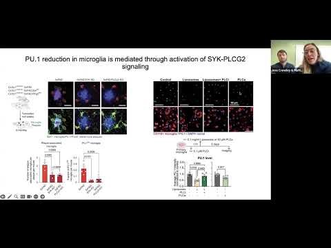 [Jess Crowley & Matt Challman] Lymphoid gene expression supports neuroprotective microglia function
