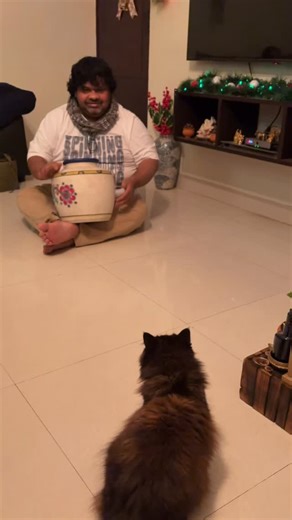 Uma Shankar Vinayakaram on Instagram: "Practising on a decorative pot at Reshmi's place… while being judged by Ichu - her cute Persian cat 😄 Every soft note = curiosity. Every loud phrase = ‘what the hell was that?!’ She pretends to be fearless, but one strong beat and she’s ready to file a noise complaint. Music practice with a Persian cat audience - equal parts rhythm is every wear suspense, and comedy. Full supervision, zero approval!!"