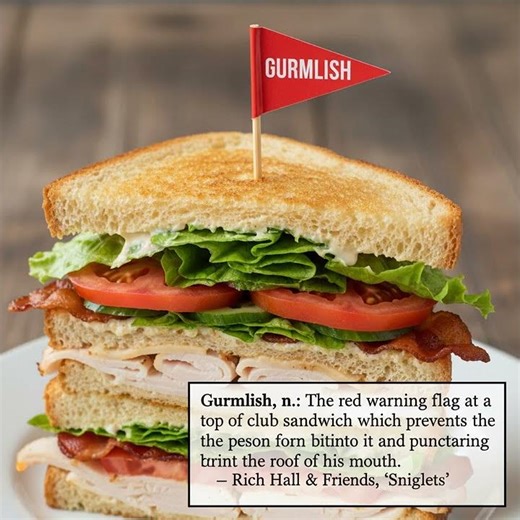 Gurmlish: The Secret Name of Your Club Sandwich Flag | Rich Hall's Sniglets Explained