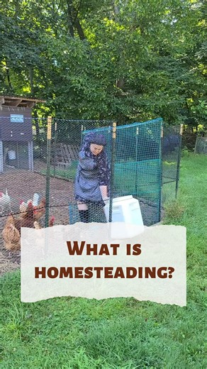 I call myself a "suburban homesteader" to differentiate myself from those with more land and the farming and growing resources that come with living in a rural area. But that doesn't mean I think of myself as "less than" or not "real". We're different, and that's OK! #homegrownkosher #homestead #homwsteading #suburbanhomestead #chickens | Homegrown Kosher
