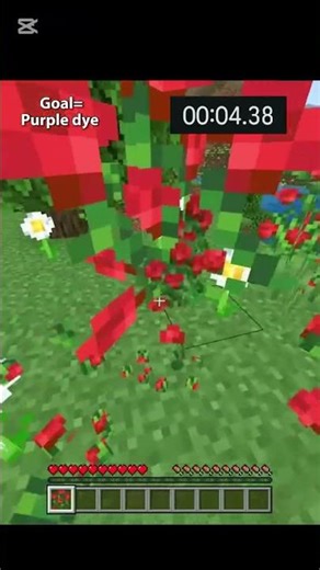 Purple dye speedrun #minecraft
