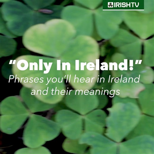 6.1K views · 79 reactions | What's your favourite turn of phrase to come out of Ireland?  | Irish TV | Facebook