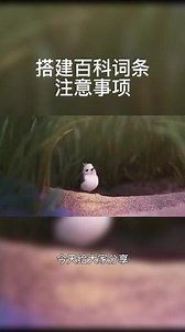 #热点 #百度 #百度百科 搭建百度百科有哪些注意事项