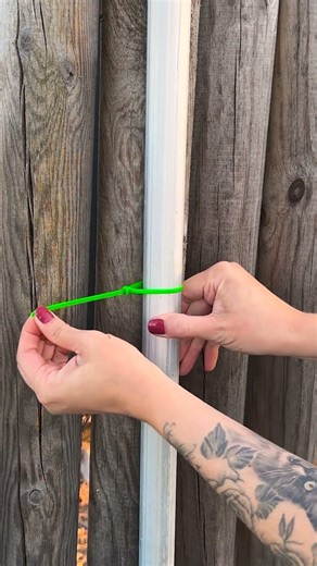 Pipe Dream Fix! 🌱🔧