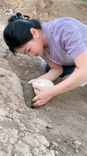 This is why Koalas don’t live in China 😂 #TrendingNow #ViralVideo #AmazingVideos #USA #UnitedStates #India | Siguil Hydro Power Corporation