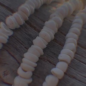 Hawaiian Store Small Puka Shell Necklace (choose Length) - Etsy