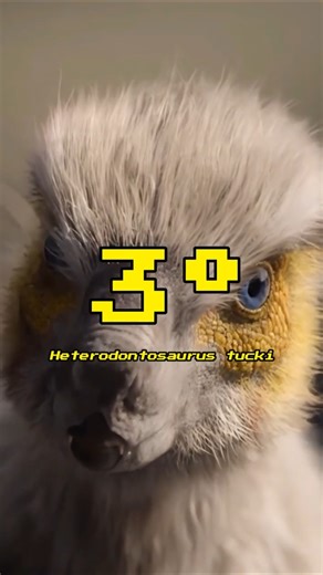 Top 5 Best Dinosaur Designs on Netflix! (3rd Heterodontosaurus)