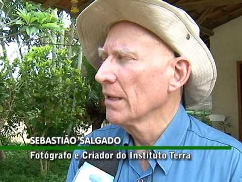Instituto Terra: Exemplo de Reflorestamento