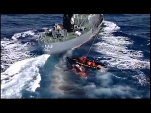 Greenpeace in Action