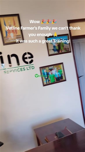 Effective Pig Farming Training for Beginners