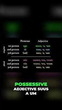 Master Possessive Adjectives Meus, Tuus, Noster, and Vester #latin #aplatin #languagelearning