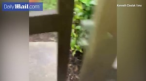 Sky filled with debris as tornado passes through Fort Myers in Florida