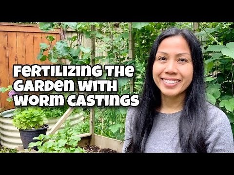 How Worm Castings Build Healthy Soil