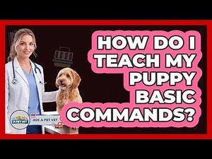 How Do I Teach My Puppy Basic Commands?