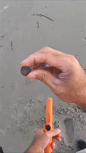 At the beach metal detecting around with a Minelab metal detector. Digging in the sand to see what kind of treasure that people have left behind, something I learned doing this, you never know what you will find at the beach~ | Thebeachz
