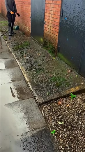 Pressure Washing Tips for a Clean Garden