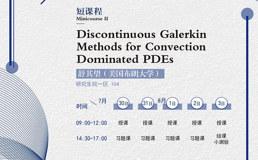 Discontinuous Galerkin Methods for Convection Dominated PDEs