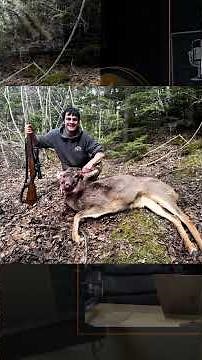 Alaska's first mule deer kill
