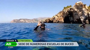 La Costa Tropical de Granada es un tesoro de nuestra tierra...y nuestras aguas. Lugar perfecto para el turismo de buceo. Hoy vamos a bucear a La Herradura. Reportaje Andalucia Directo del 6 de agosto #españa #andalucia #granada #laherradura #buceo #escuelasdebuceo | QuedateEnAndalucia