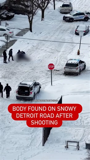 🚨Detroit police are investigating a homicide that occurred Monday. Link to full article in comments. | Metro Detroit News