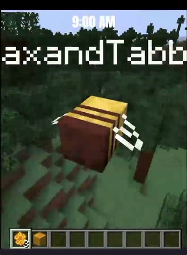 A Day In The Life Of A Bee