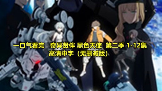 一口气看完 【奇异贤伴 黑色天使 第二季】 1-12集 高清中字（无删减版）