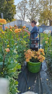 137K views · 1.3K reactions | Three Acre Farm on Reels | Facebook