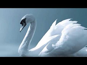 The Swan Princess - Hooked On Tchaikovsky