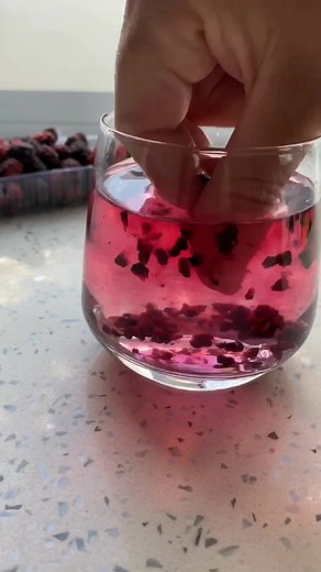 Planting Blackberries! Gardening Tips and Tricks