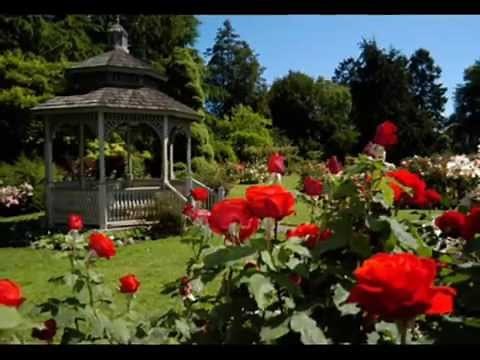 Elvis Presley - In The Garden [ CC ]