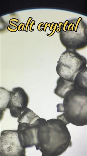 MICROSCOPE 🔬 #microbiology #biology#labtechnician #practical