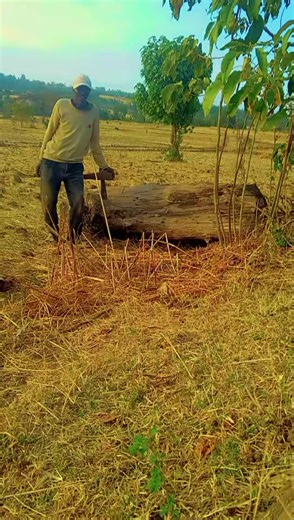 Tamirat Adise (@tamirat.adise)’s videos with original sound - Dagi ዳግ