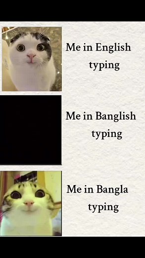 Bangla and English Typing Skills Showcase
