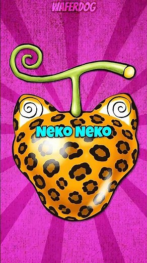 The Neko-Neko No Mi Devil Fruit Explained