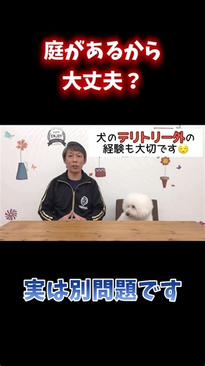 庭があれば散歩はいらない？