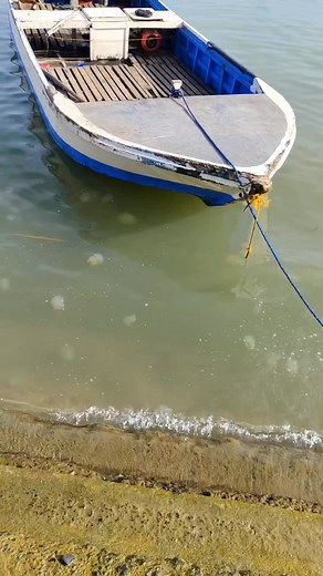 Baliwala Ang kati ng labog-labog Ang importante makabakal sang bugas. | Bini Rath