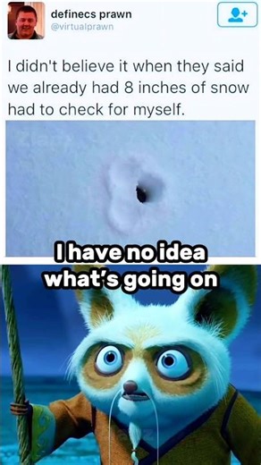 #relatablememes 🐼