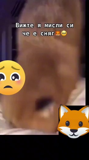 Andi (@andy_123pro7)’s videos with original sound - Andi