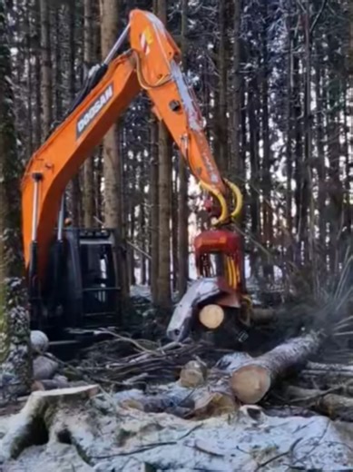 Tree Cutting Techniques Using Excavators