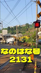 🌼🚆🚋【なのはな号 × 市電2131 × RetroTram615】新川4号踏切でクロス！｜3 Trains Cross in Kagoshima