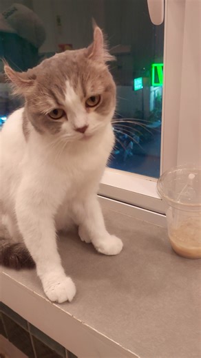 See the view from the windows 😊🥰😍