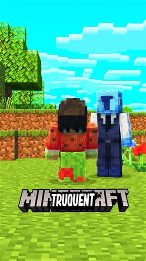 Mon serveur Minecraft parfait… et personne n’y croit !