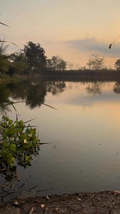 🫶🏽 #fishing #rural #thailand | May Potter