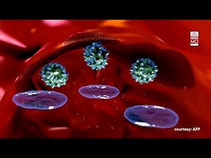 How do vaccines work in our body? | Newsmo