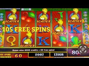 GECKOS GONE WILD Kickapoo Lucky Eagle Casino 10/22/22