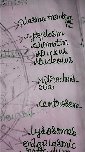 science drawing ❤️