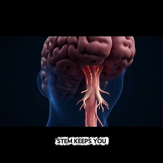 Your Brain Is More Powerful Than You Think.