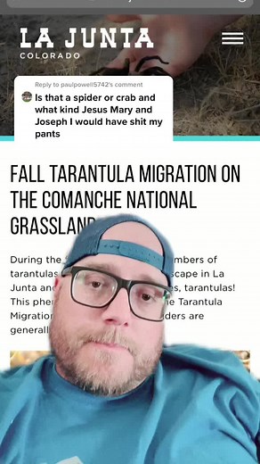 Fall Tarantula Migration in Colorado: Unusual Sightings