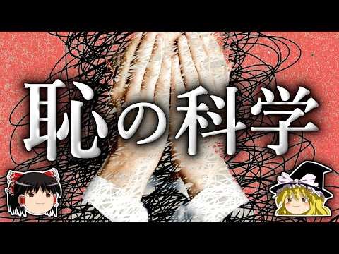 Why did the emotion of shame arise? [Slow explanation]