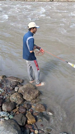 Who is the owner of the golden scales that tore up the dense reed beds and mudflats of the Mangye...